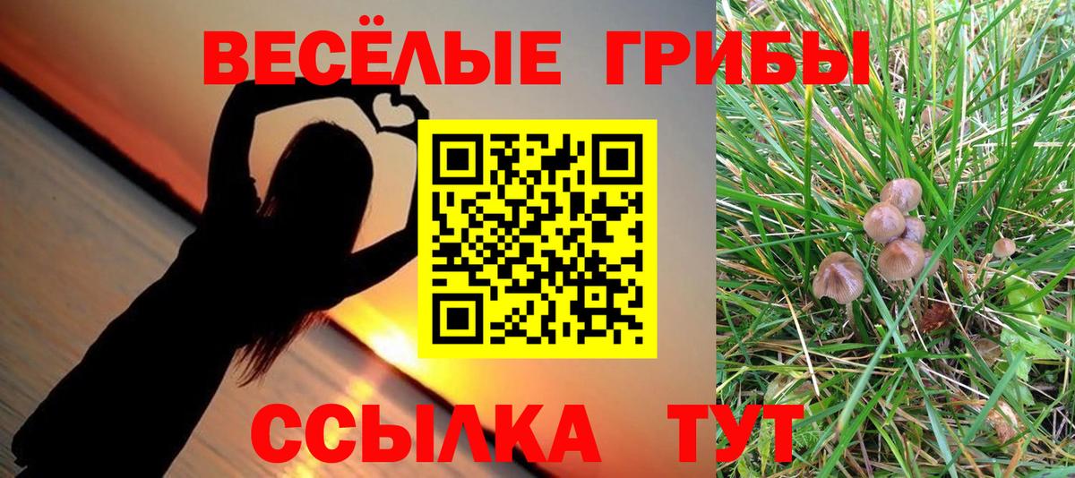 Галлюциногенные грибы прущие грибы  Вход с VPN  Тельмана  Псилоцибиновые грибы MAGIC MUSHROOMS 
